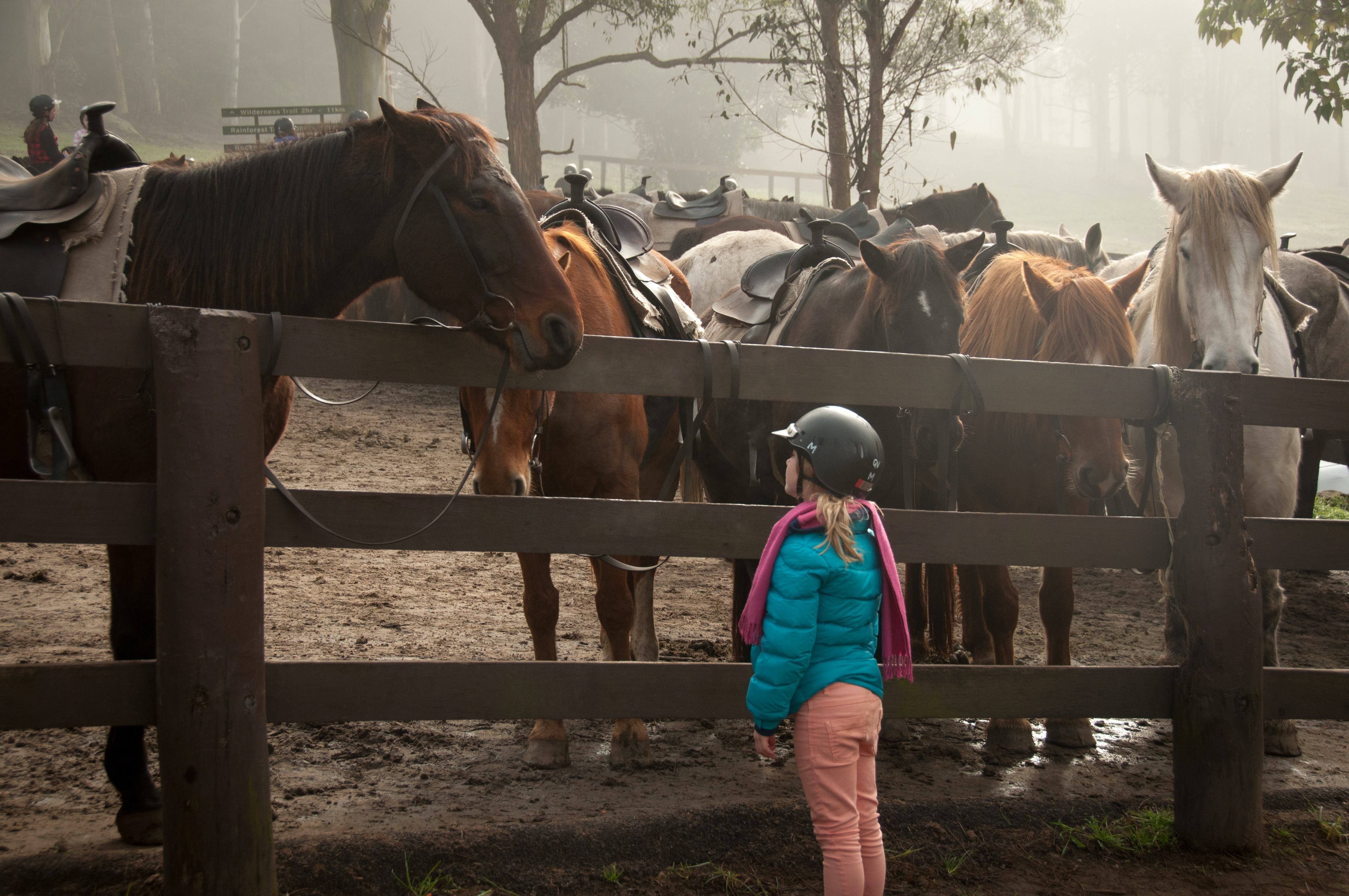 <span style=color:#FED23D;>Explore the Open Country</span>, by Horse back Riding